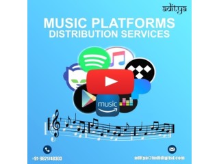 Affordable price for music platforms distribution services