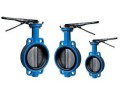 butterfly-valves-in-kolkata-small-0