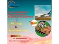falc-emergency-transports-dead-bodies-without-issues-in-pune-by-air-cargo-small-0