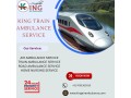 choose-king-train-ambulance-in-bangalore-for-patient-transfer-by-the-best-and-trained-paramedic-team-small-0