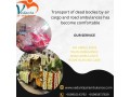 use-the-best-body-transport-facility-in-hyderabad-as-per-your-convenience-small-0