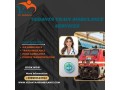 vedanta-stays-with-your-family-during-difficult-times-in-raipur-by-train-ambulance-small-0