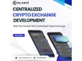 boost-your-startup-profits-with-advanced-cex-development-solutions-small-0