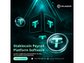 stablecoin-payroll-platform-software-launch-payroll-system-in-10-days-small-0
