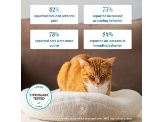 Kneadcats. com 10$ off on all heated cat beds