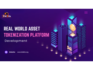 Real World Asset Tokenization Platform Development