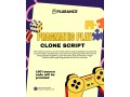 enter-the-igaming-market-with-a-competitive-pragmatic-play-clone-solution-small-0