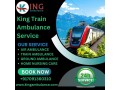 king-helps-families-transit-with-complete-confidence-in-delhi-in-a-train-ambulance-small-0
